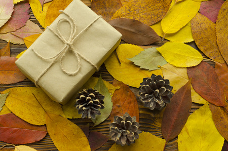 Gift box on colored autumn leaves backgroundの写真素材