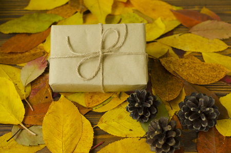 Gift box on colored autumn leaves backgroundの写真素材
