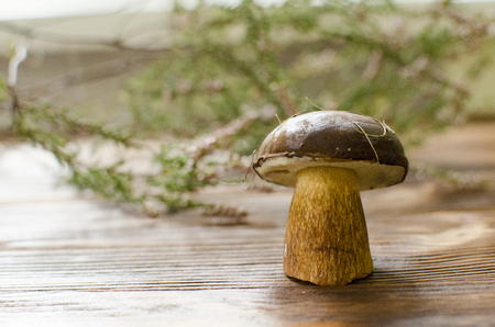 White fresh mushroom on wooden backgroundの写真素材
