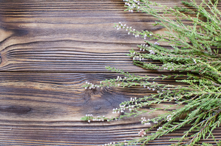 green fresh heather on wooden backgroundの写真素材