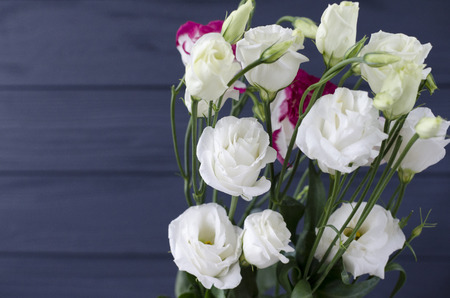 eustoma flowers on grey backgroundの写真素材