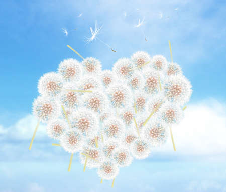 air  heartの写真素材