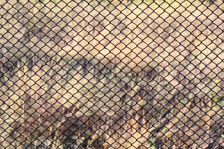 Chain link fence. Background mesh nettingの写真素材