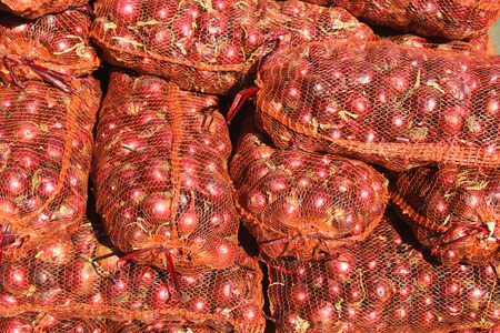 Pile of Mesh Sacks with Fresh Onionsの写真素材