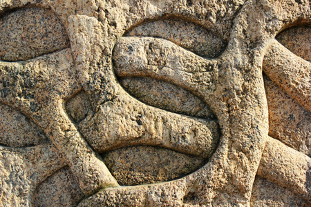 Carved stone bas relief of entwined vineの写真素材