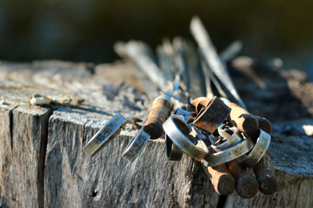 Old metal skewers on wooden backgroundの写真素材