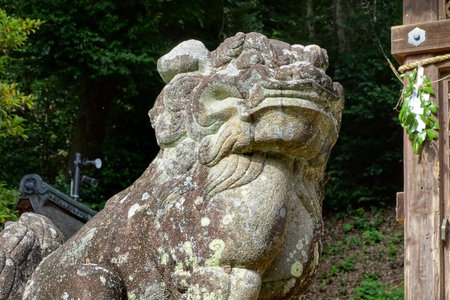 Uji, Japan - October 5, 2017: Stone lion in Ujigami Shrine, a Shinto shrine in the city of Uji in Kyoto Prefecture, Japan. The shrine was built as a guardian shrine for the nearby Byodo-in temple.のeditorial素材