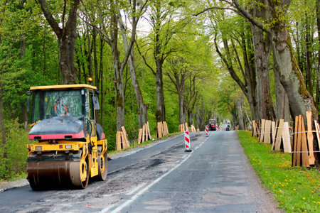 Trunks of roadside trees protected by wooden planks during a road construction