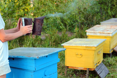Old bee smoker, a device used in beekeeping to calm honey bees