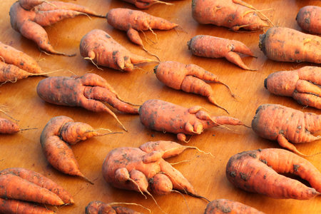 Misshapen and ugly carrots on wooden table at street market