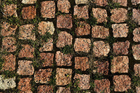 Granite slabs of a pavement, overgrown with weeds