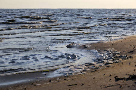 Sandy beach on a lake shoreの写真素材