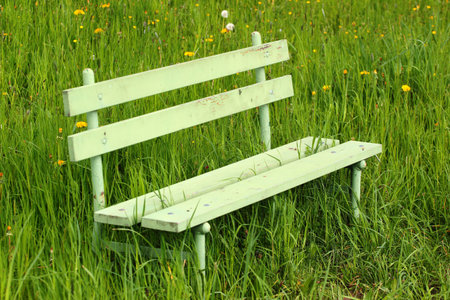 Green bench in green grassの写真素材