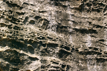 Eroded limestone rock surface with natural pitting and weather patterns.の写真素材