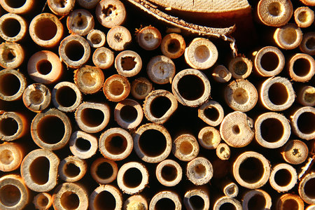 Close-up of insect hotel made from bamboo and cut wood with drilled nesting holes