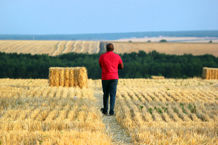 Black man in red shirt walking through harvested wheat fieldの写真素材