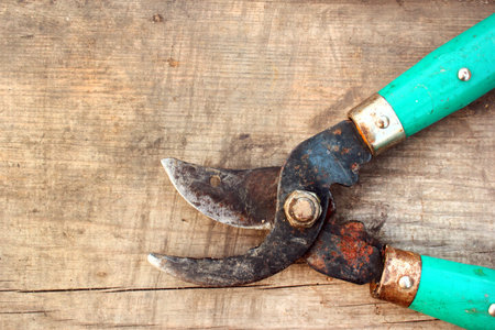 Rusty garden shears with green handles on wooden surface