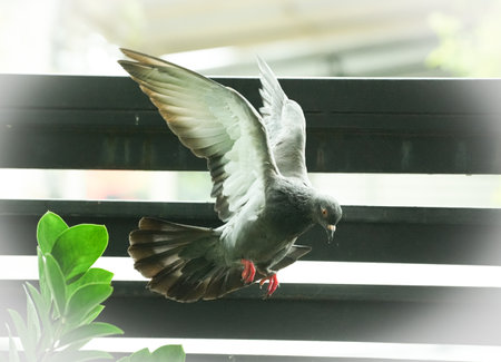 Little sparrow standing on the roof of the house. Selective focus.の写真素材
