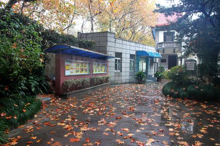 Shanghai romantic autumn front of buildingのeditorial素材