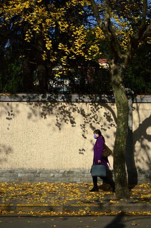 Shanghai urban winter landscapeのeditorial素材