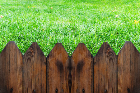 Fence with green grassの写真素材
