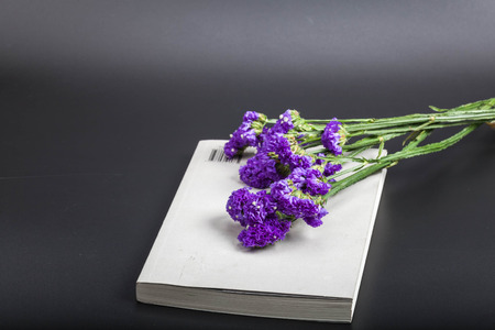 Placed flowers ontop of the bookの写真素材