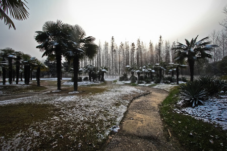 A scene of park after the snow の写真素材