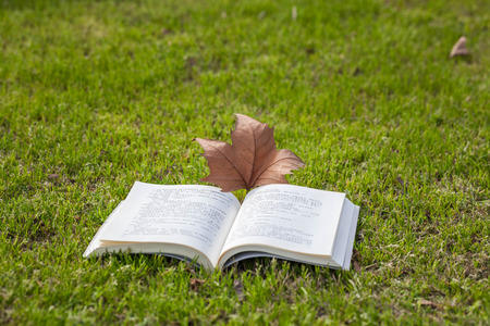 Books on the grassのeditorial素材