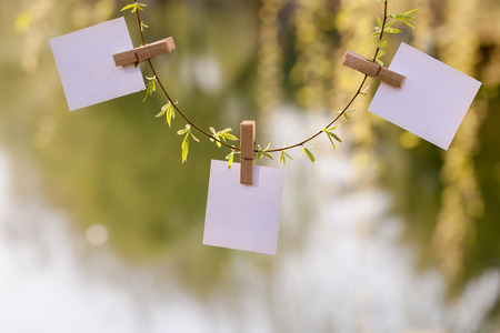 Hanging on switchgrass paper notesの写真素材