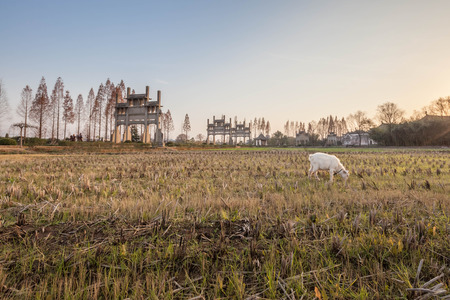 Natural scenery in Hongcun, Anhuiの写真素材