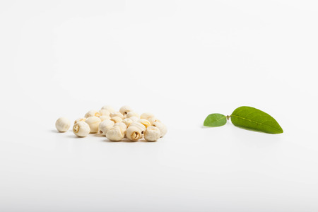 Lotus seedsの写真素材