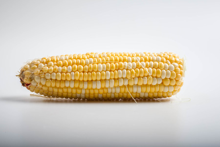 Cornの写真素材
