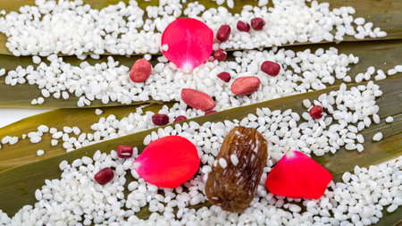 Dumplings ingredientの写真素材