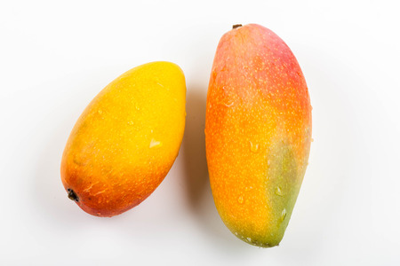 Mangoの写真素材