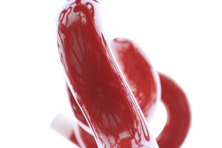 The rhythmの写真素材