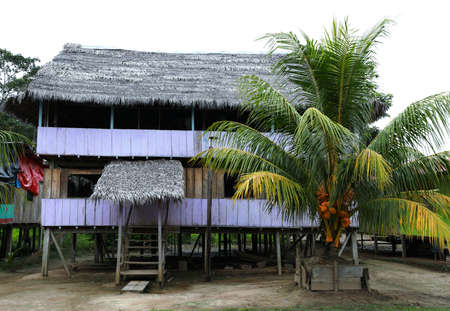 In Peru in South America, in the Amazon River Basin, there are some villages and houses inhabited by such Indians.のeditorial素材