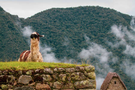 Machu Picchu is a 15th-century is located in the Cusco region of Peru. people coming from all over the world to visit it.の写真素材