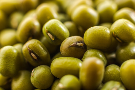 Mung beanの写真素材