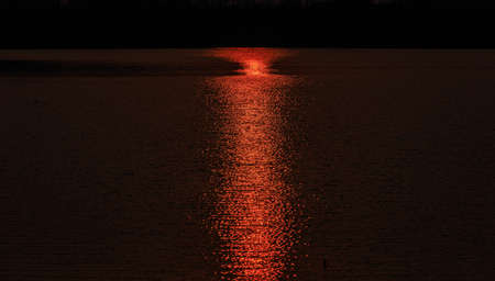 sunset golden viewの写真素材