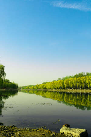 China Beijing Summer Palace misty lake and tree viewの写真素材