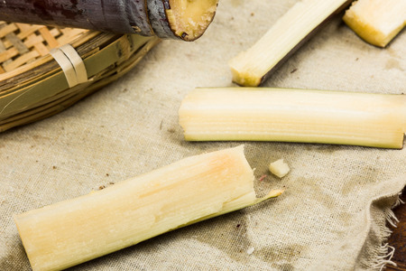 Sugar cane sweet fruitの写真素材