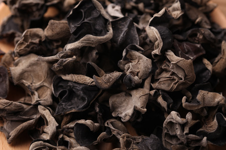 Wood earの写真素材