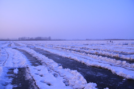 Winter in the snowの写真素材