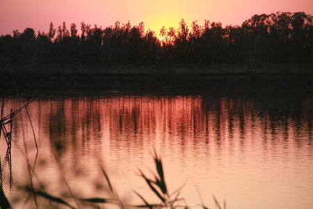 sunsetの写真素材