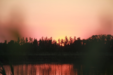 sunsetの写真素材