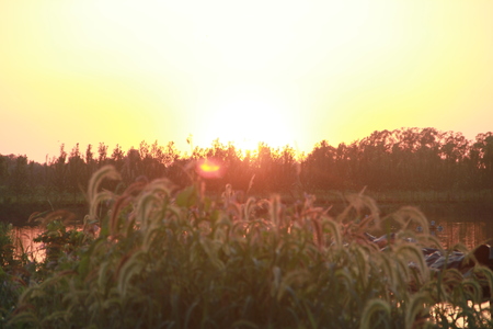 sunsetの写真素材