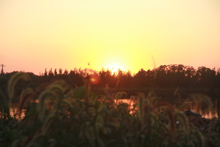 sunsetの写真素材