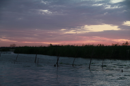Chaoyang Lakeの写真素材