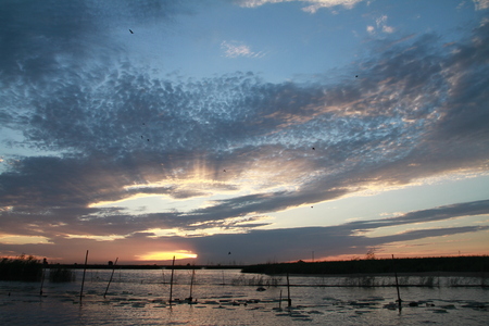 Landscape view of a lake during sunsetの写真素材