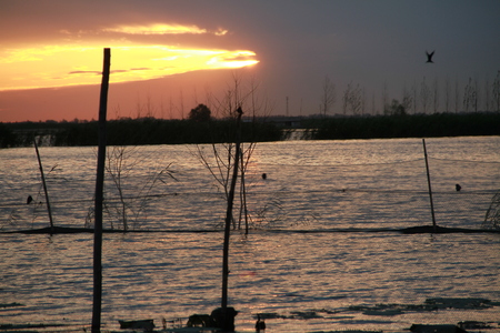 Chaoyang Lakeの写真素材